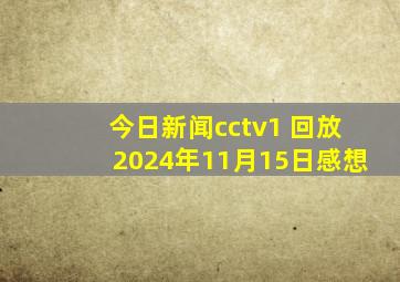 今日新闻cctv1 回放2024年11月15日感想